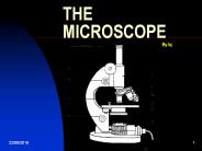 THE MICROSCOPE
