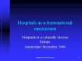 Hospitals as a transnational microcosm PowerPoint PPT Presentation