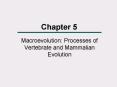 Macroevolution: Processes of Vertebrate and Mammalian Evolution PowerPoint PPT Presentation