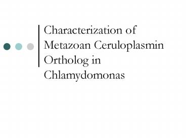 Characterization of Metazoan Ceruloplasmin Ortholog in Chlamydomonas