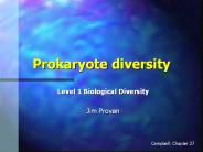 Prokaryote%20diversity