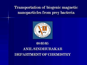 Transportation of biogenic magnetic nanoparticles from prey bacteria
