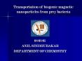 Transportation of biogenic magnetic nanoparticles from prey bacteria PowerPoint PPT Presentation
