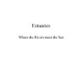 Estuaries PowerPoint PPT Presentation