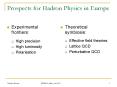 Prospects for Hadron Physics in Europe PowerPoint PPT Presentation