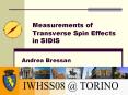 Measurements of Transverse Spin Effects in SIDIS PowerPoint PPT Presentation