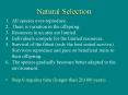 Natural Selection PowerPoint PPT Presentation