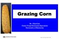 Grazing Corn PowerPoint PPT Presentation