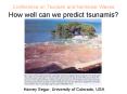 Conference on Tsunami and Nonlinear Waves How well can we predict tsunamis PowerPoint PPT Presentation