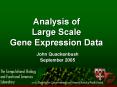 Analysis of Large Scale Gene Expression Data PowerPoint PPT Presentation