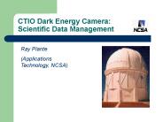 CTIO Dark Energy Camera: Scientific Data Management