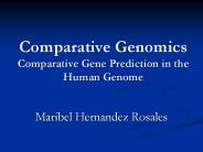 Comparative%20Genomics%20Comparative%20Gene%20Prediction%20in%20the%20Human%20Genome