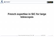 French expertise in SiC for large telescopes