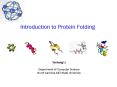 Introduction to Protein Folding PowerPoint PPT Presentation