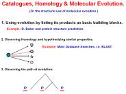 Catalogues,%20Homology%20