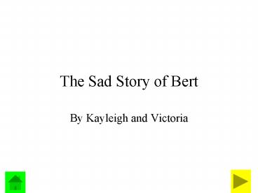 The Sad Story of Bert