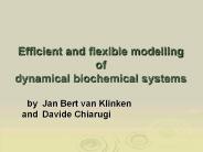 Efficient%20and%20flexible%20modelling%20of%20dynamical%20biochemical%20systems