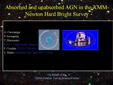 Nessun titolo diapositiva