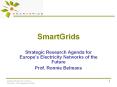 SmartGrids 9th AC meeting PowerPoint PPT Presentation