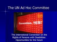 The%20UN%20Ad%20Hoc%20Committee