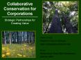 Collaborative Conservation for Corporations PowerPoint PPT Presentation