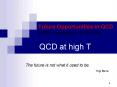 QCD at high T PowerPoint PPT Presentation