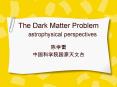 The Dark Matter Problem   astrophysical perspectives PowerPoint PPT Presentation