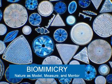 BIOMIMICRY