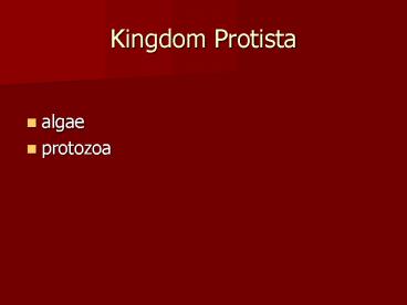 Kingdom Protista