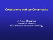 Coalescence and the Cenancestor