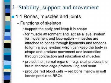 1' Stability, support and movement