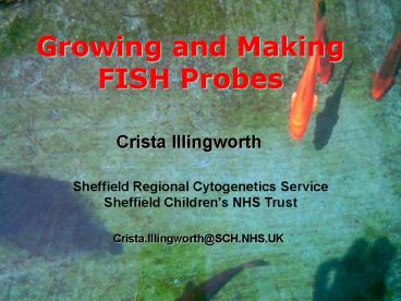 Growing and Making FISH Probes presentation | free to view