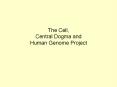 The Cell, Central Dogma and Human Genome Project PowerPoint PPT Presentation