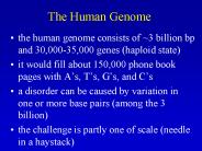 The Human Genome