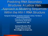 RNA Secondary Structure