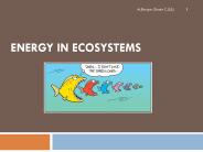 Grade 9 - Energy in Ecosystems