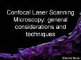 Confocal Laser Scanning Microscopy: general considerations and techniques PowerPoint PPT Presentation