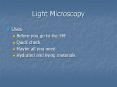 Light Microscopy PowerPoint PPT Presentation