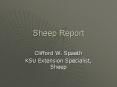 Sheep Report PowerPoint PPT Presentation
