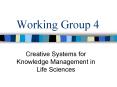 Working Group 4 PowerPoint PPT Presentation