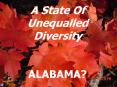 A State Of Unequalled Diversity PowerPoint PPT Presentation