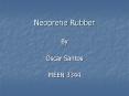 Neoprene Rubber PowerPoint PPT Presentation