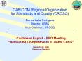 Caribbean Export BSO Meeting Remaining Competitive in a Global Crisis March 2425, 2009 Dominican Rep PowerPoint PPT Presentation