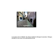 Physics%20311A%20Special%20Relativity