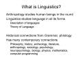 What is Linguistics PowerPoint PPT Presentation