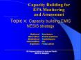 Topic%20x:%20Capacity%20building%20EMIS%20NESIS%20strategy PowerPoint PPT Presentation