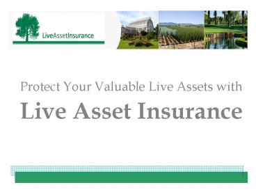 Protect Your Valuable Live Assets with
