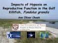 Impacts of Hypoxia on Reproductive Function in the Gulf Killifish, Fundulus grandis PowerPoint PPT Presentation