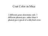 Coat Color in Mice