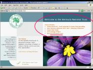 What local models exist?